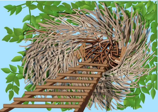 Гнездо Домика Зеленом Дереве Лесу — стоковый вектор