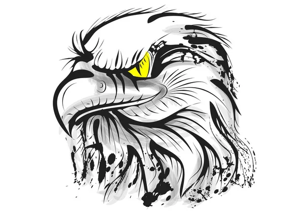 白色背景下孤立的秃头鹰病媒 — 图库矢量图片