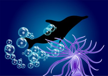 Yunus ve deniz anemon