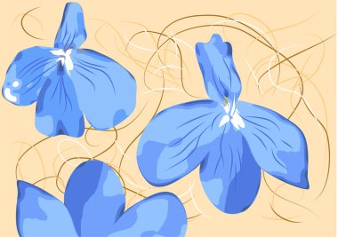 Lobelia