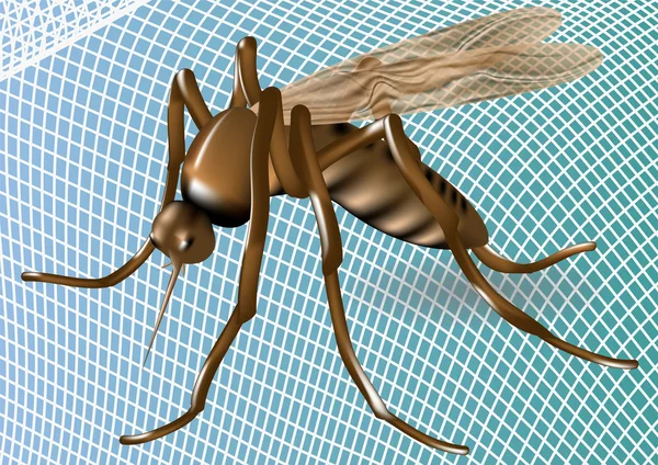 Mosquiteiro e mosquito — Vetor de Stock