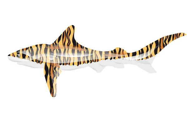 Tiger Shark — Stock vektor