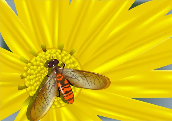 Żółty kwiat i kolorowy mucha — Wektor stockowy