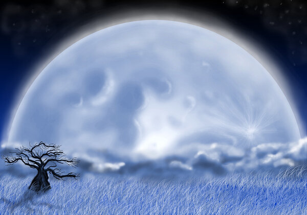 Fool moon. tree in the night field and fool moon