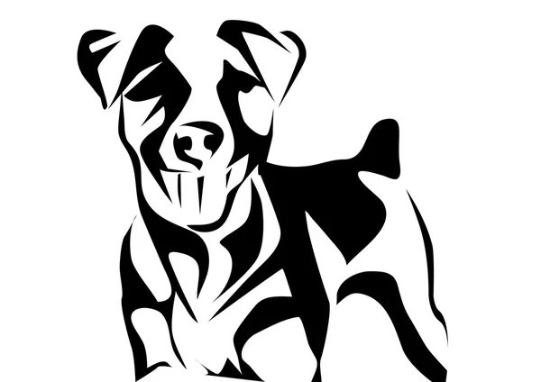 Jack russell terrier — Vettoriale Stock