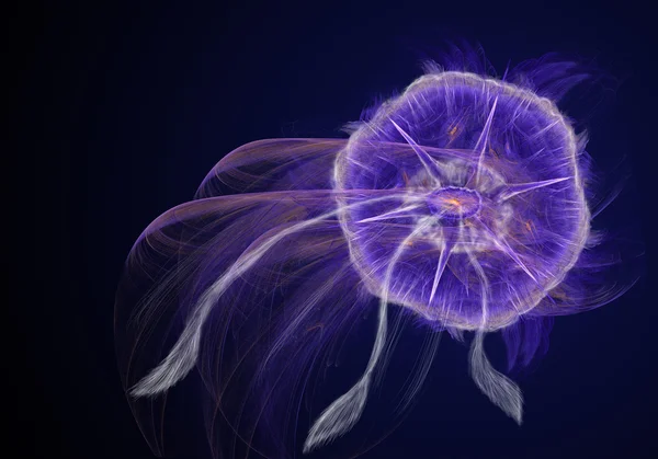 Jellyfish — Stock Photo, Image