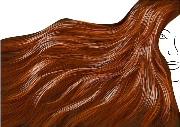 Gyönyörű barna haj — Stock Vector