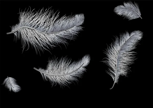 Plumes volantes sur fond noir — Image vectorielle