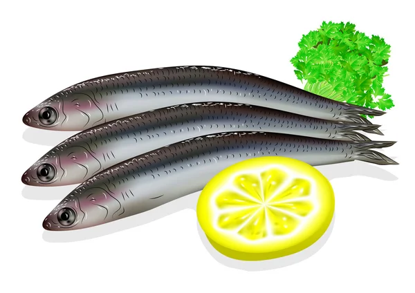 Anchois alimentaires — Image vectorielle