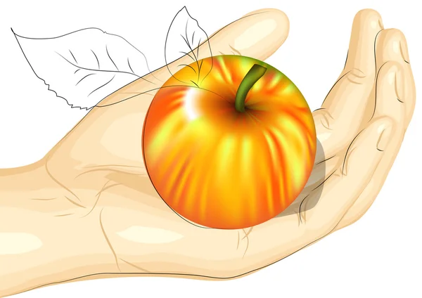 Mannenhand en apple — Stockvector