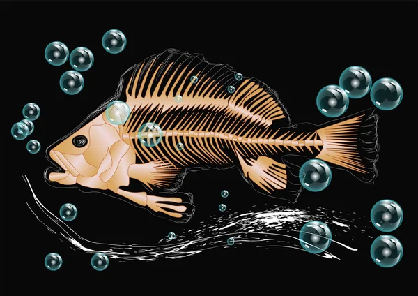 Esqueleto de pescado y burbujas — Vector de stock