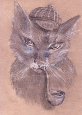 boru ile kedi