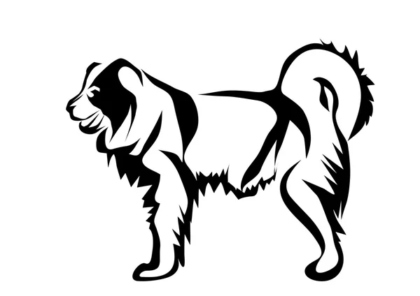 Chien de berger caucasien — Image vectorielle