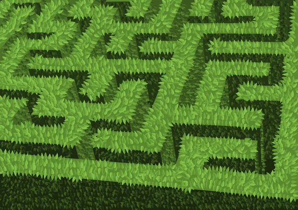 Labirinto verde — Vetor de Stock