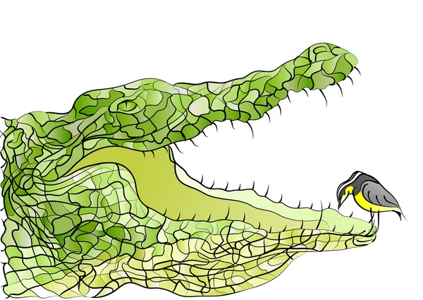 Krokodil und Vogel — Stockvektor