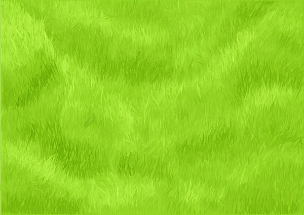 Gras achtergrond — Stockvector