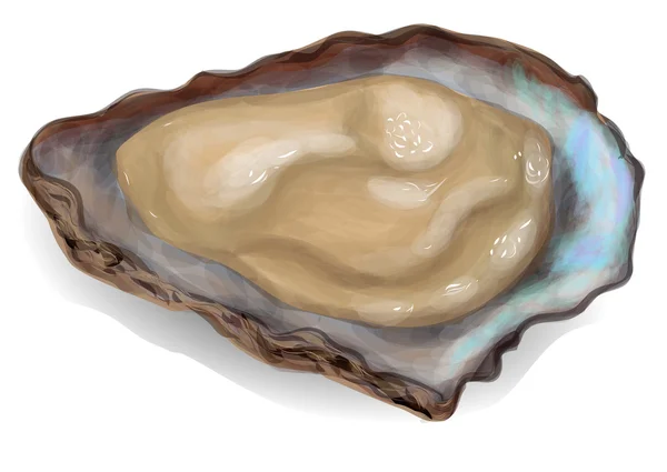 Oester — Stockvector