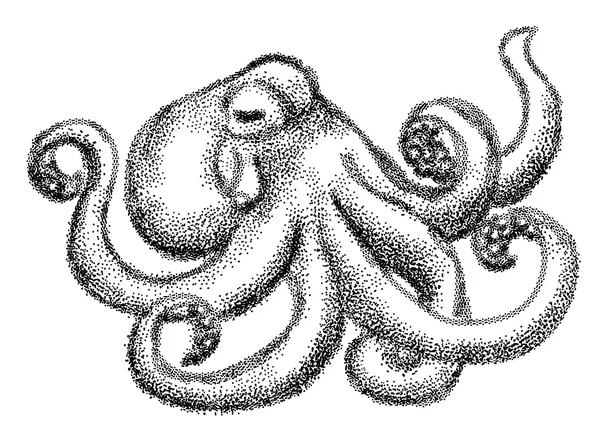 Pulpo en blanco y negro — Archivo Imágenes Vectoriales