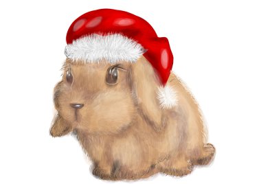 tavşan Noel şapka ile