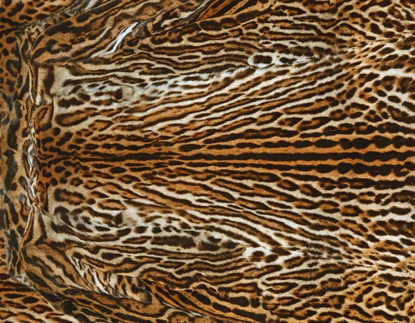 Leopard skin background — Stock Photo, Image