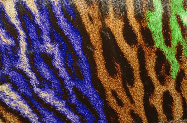 Closeup of feline fur — Stock Photo, Image