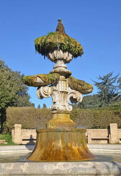 Fuente renacentista en villa pamphili en roma —  Fotos de Stock