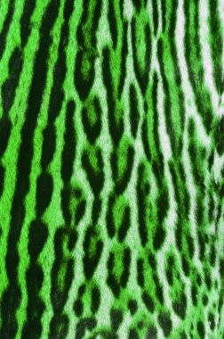 kedi kürk arka plan