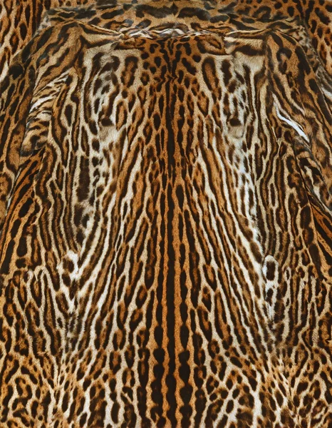 Leopard fur background — Stock Photo, Image