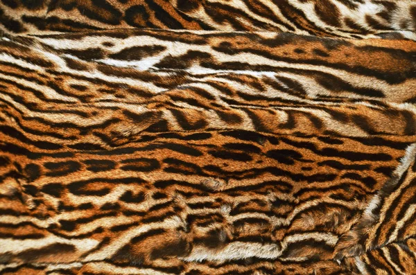 leopard fur coat background