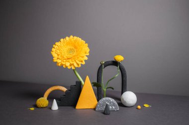 Geometrik figürler ve parlak çiçeklerin uyumlu kombinasyonu. Doğal gölgeleri olan modern bir arka plan. Botanik elementlerle birlikte soyut kavram şekilleri. 2021 'in moda renkleri - sarı ve gri.