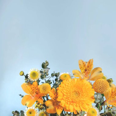 Sarı çiçekli yaratıcı botanik arka plan. Renkli çiçek dalları olan gri arkaplan. Pankart olarak kullanılabilir, poster. arka ışıklandırmalı ummer flora