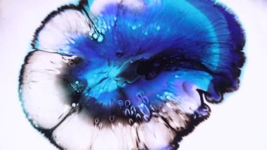 Akışkan sanat çizimi videosu, renkli dalgalı modern akrilik doku. Sıvı boya, sıçrama ve girdapla karıştırılmış sanat eserleri. Mavi, kahverengi ve beyaz taşan renklerle ayrıntılı arkaplan hareketi.