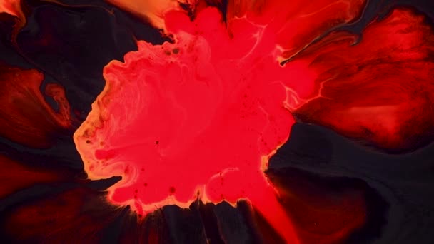 Vätskekonst målning video, trendig akryl konsistens med färgglada vågor. Flytande färg blanda konstverk med stänk och virvla. Detaljerad bakgrund rörelse med röd, svart och orange överflödande färger. — Stockvideo