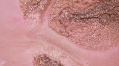 Akışkan sanat görüntüleri, renkli dalgalı modern akryl dokusu. Sıvı boya arka planda sıçrama ve girdapla karışımı. Altından, pembeden ve beyazdan oluşan ayrıntılı arkaplan hareketi.