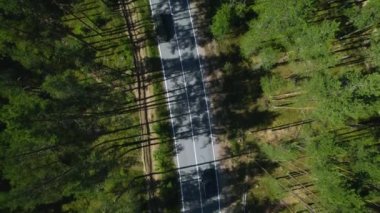 Banliyö otoyolunun havadan görünüşü ve yaz gününün yeşil ormanı. Yeşil ağaçlarla çevrili gezici arabalar yolda gidiyor. Ağaçların tepelerinden çekilen sık bir ormanda yolculuk..