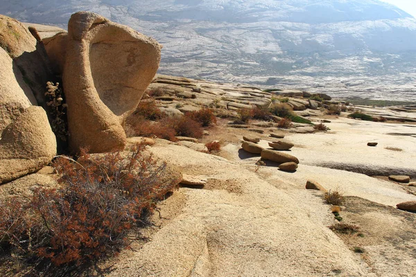 Volcanic smooth large stones on a stone plateau in the Bektau-Ata tract, in the foreground there is a large beautiful stone with a depression and dry bushes, a mountain in the distance, summer, sunny