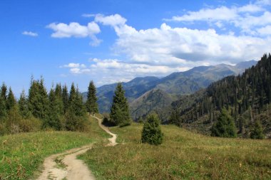 Kok Zhailau Platosu 'nun yüksek dağlık vadisinde, yolu olan uzak bir manzara, sağda bir sırt ve ağaçlar, bulutlu bir gökyüzü, yaz, güneşli