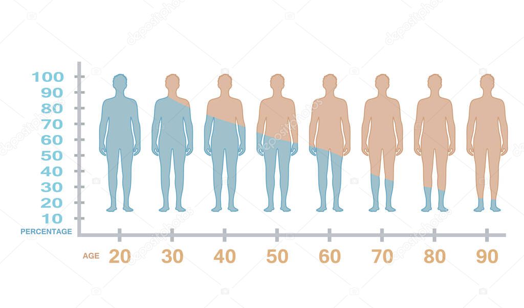 Male testosterone production level with age. vector  