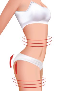 Kadın vücudu. vektör illüstrasyonu