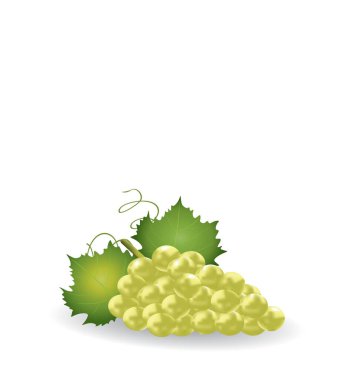 beyaz zemin üzerine beyaz üzüm