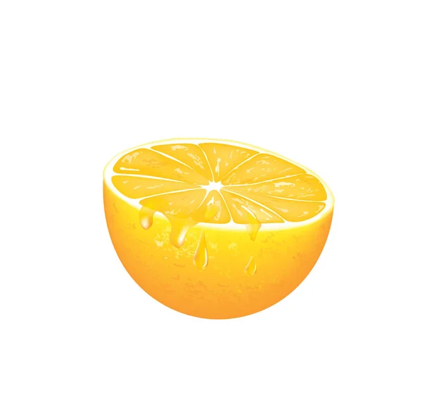 Half Orange Slice Vector Illustration — Stock Vector