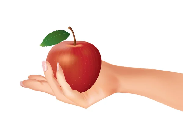 Hand Hold Apple Vector Illustration — Stock Vector