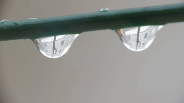 Drops Water Rain Nature Only Retain Small Drops Form World — Stock Photo, Image