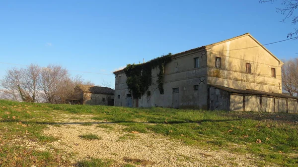 Terk edilmiş, terk edilmiş evler her zaman cazibe ve gizemle doludur. Özellikle de hiçbir şeyin içinde olanlar.
