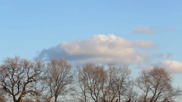 Paisaje Natural Nubes Árboles Otoño Aquí Dan Detalles Hermosos Especiales — Foto de Stock