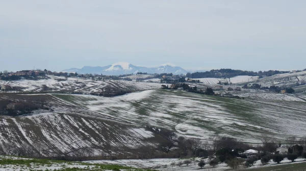 Snowy Landscape Winter Snow Falls Transforms Whole Landscape Transforming — Stock Photo, Image