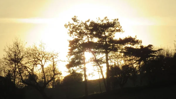 夕阳的颜色 云彩之间的夕阳 还有浓雾 这些都使得看到不同颜色的颜色比平常要特别的多 — 图库照片