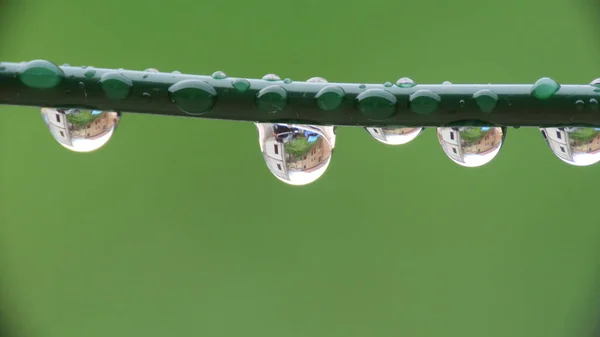 Капли Воды Утренней Росой После Дождя Маленькие Капли Всегда Останавливаются — стоковое фото