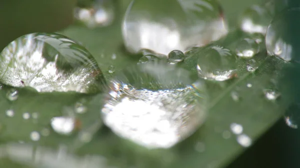 Gotas Agua Con Rocío Mañana Después Lluvia Las Pequeñas Gotas — Foto de Stock