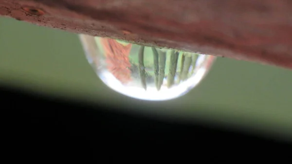 Gotas Agua Con Rocío Mañana Después Lluvia Las Pequeñas Gotas —  Fotos de Stock